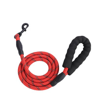 HKM-420691 Durable Nylon Dog Leash with Poop Bag Holder - Available in 4ft, 5ft, 6ft, and 7ft