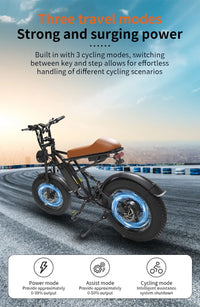 HKM-3921107 Electric Bike 750W Motor 48V 13Ah Battery 37 Mile Range 20-Inch Fat Tires Dual Suspension 7-Speed Disc Brakes