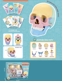 HKM-379027 3D Anatomy Puzzle Toy - Human Skull Model with 10 Educational Cards for Kids