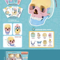 HKM-379027 3D Anatomy Puzzle Toy - Human Skull Model with 10 Educational Cards for Kids