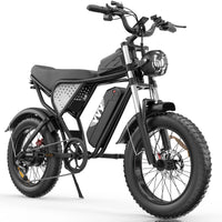 HKM-1463507 Adult: 750W Motor, 20 MPH Top Speed, 48V System and 48V 20.0Ah Battery Electric Bicycle for Daily Commuting