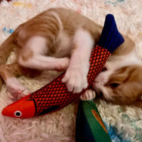 HKM-341651 Interactive Fish-Shaped Cat Kicker Toy with Catnip – Soft and Durable Chewing Toy