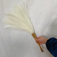 55CM Fluffy Pampas Grass Simulation Reed Hair Simulation Wedding Party Minimalist Home Decoration Artificial Flowers 1pcs