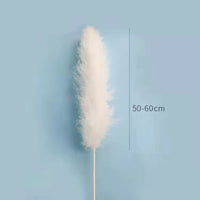 Wholesale Pampas Dried Natural Faux Tall Pampas Grass White for Wedding