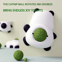 HKM-734867 Catnip Whirling Ball Toy with Catgrass for Teething and Oral Care