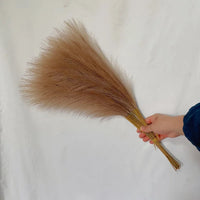 55CM Fluffy Pampas Grass Simulation Reed Hair Simulation Wedding Party Minimalist Home Decoration Artificial Flowers 1pcs