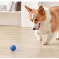 HKM-454611 Durable Interactive Rolling Ball Toy for Dogs, Replaceable Housing for Training and Chewing