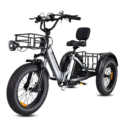 Smart Travel High Power 750W Electric Fat Tire Tricycle for Adults 48V Lithium 3 Wheel E Bike Cargo Mobility Trike OEM Factory