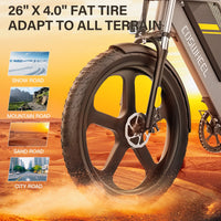 HKM-3527891 Adult: 750W Motor, 20 MPH Top Speed, 48V System and 48V 15.0Ah Battery Electric Bicycle for Daily Commuting