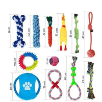 HKM-356307 Durable 12-Pack Interactive Chew Dog Toy Set for Active Play