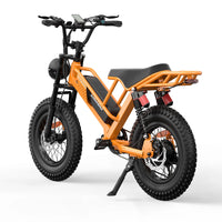 HKM-9595731 Adult: 750W Motor, 20 MPH Top Speed, 48V System and 48V 15.0Ah Battery Electric Bicycle for Daily Commuting