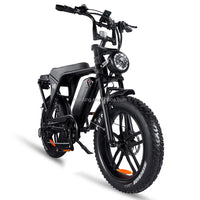 20inch EU Fat Tire Bike Electric Off-Road Fat Tire E-Bike with Best Price and Seater 48v Battery Steel Frame 250W