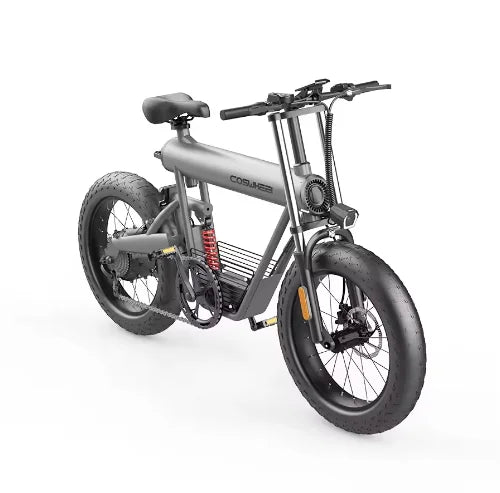 Coswheel T20 Fat Tire Electric Bike 1500W 20AH Removable Large Lithium Battery Mountain E-Bike