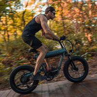 HKM-9131091 Electric Bike 500W Motor 48V 20Ah Battery 62 Mile Range 20-Inch Fat Tires Disc Brakes 7-Speed Aluminum Frame 265 lb Load