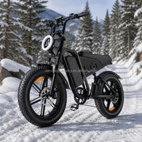 14 Inch Fat Tire Electric Bike 48V 500W Snow Beach Adult Ebike