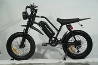 HKM-7567955 Adult: 1500W Motor, 20 MPH Top Speed, 48V System and 48V 20.0Ah Battery Electric Bicycle for Daily Commuting