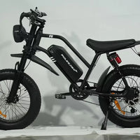 Enduro 20 Inch 1500W Ebike Adult Full Suspension E Fat Tire Mountain Bike Men's Electric Mtb Dirt Pit Bicycle US Warehouse