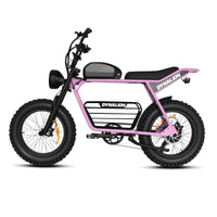 HKM-8448851 Adult Electric Bicycle Powered by 1000W Motor, 20 MPH Top Speed, 48V System and 48V 16.0Ah Battery for Daily Commuting