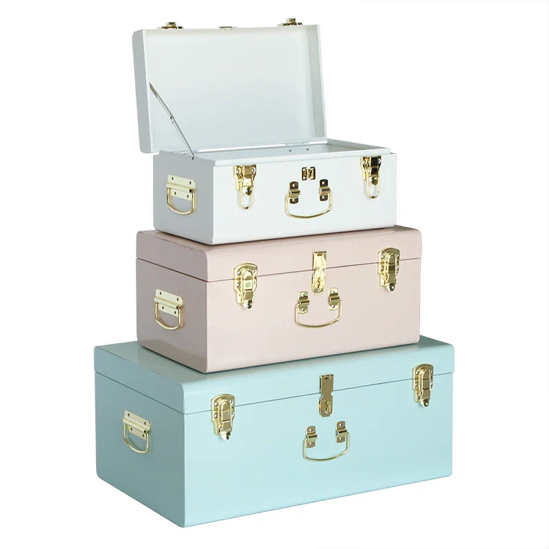 KTX-729491 Metal-Accented Storage Trunk Box for Organised Home Storage Solutions