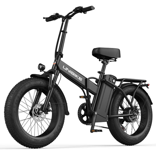 UNIBIKE Wholesale 2026 Electric Mountain Bike 7 Speed 48v 750W Sport Rear Hub Motor Full Suspension Mountain Fat Tire EBike