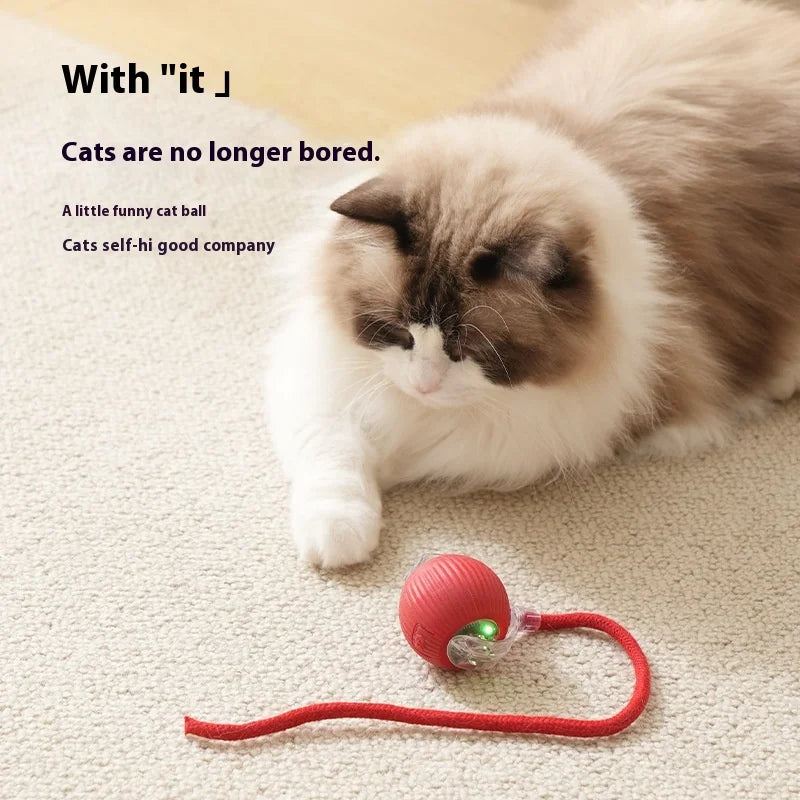 HKM-669331 Automatic Eco-Friendly Cat Toy Ball for Self-Entertainment and Exercise