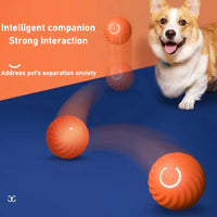 HKM-454611 Durable Interactive Rolling Ball Toy for Dogs, Replaceable Housing for Training and Chewing
