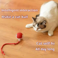 HKM-522451 Vibrant Silicone Cat Toy with Feather Teaser, Long Tail and Rolling Claw Ball for Kittens