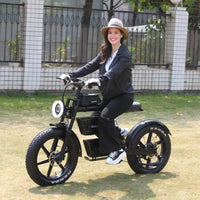 RONZLLA E20 Plus 60V Electric Bike for Adults with Dual 40Ah Battery, 93 Miles Long Range All-Terrain Commuter