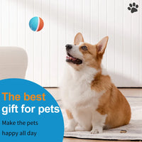 HKM-192467 Interactive USB Rechargeable TPU Pet Dog Chew Toy Ball