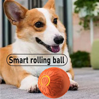 HKM-273811 Interactive Rubber Dog Toy Ball for Engaging Outdoor Play