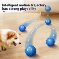 HKM-454611 Durable Interactive Rolling Ball Toy for Dogs, Replaceable Housing for Training and Chewing