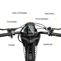 20inch EU Fat Tire Bike Electric Off-Road Fat Tire E-Bike with Best Price and Seater 48v Battery Steel Frame 250W