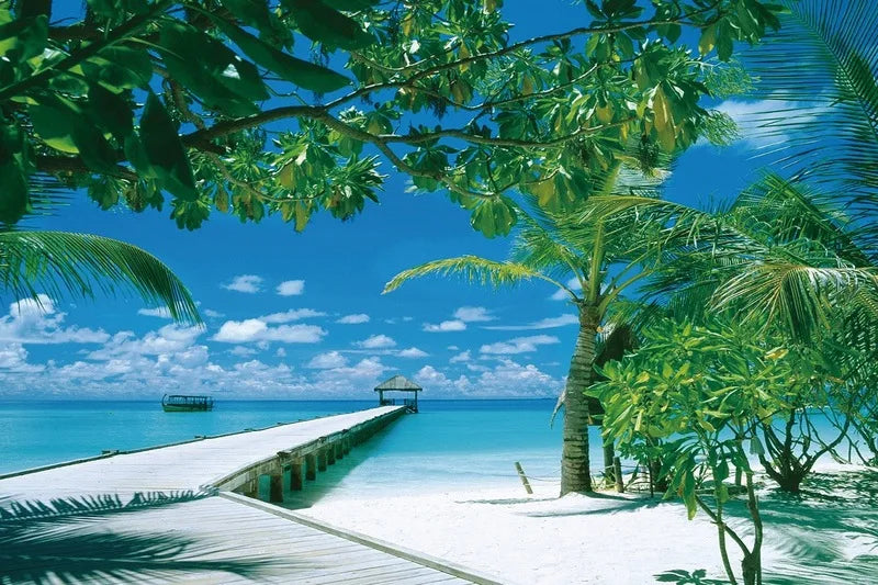 KTX-514323 Custom 1000 Piece Jigsaw Puzzle Featuring Famous Painting Scenery for Educational Decompression Activities