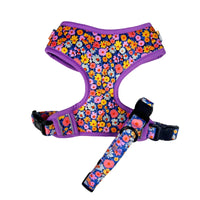 HKM-209427 Neoprene Customisable Cat and Dog Harness Set