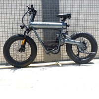 Hot High Quality E Bike China Manufacturer Customized 10Ah/20Ah Electric Bike 48V 250W/500W/1000W Electric Bicycle Mountain Bike