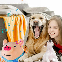 HKM-585683 Interactive Washable Squeaky Plush Dog Ball Toy with Sound and Motion