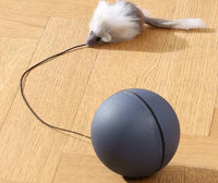 HKM-273811 Interactive Rubber Dog Toy Ball for Engaging Outdoor Play