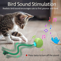 HKM-325843 Automatic Interactive Cat Toy Ball with Fast Rolling and Chirping for Indoor Play