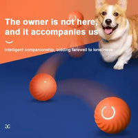 HKM-439955 Automatic Rolling Cat Ball Toy - Interactive Smart Electric Toy for Cats and Dogs