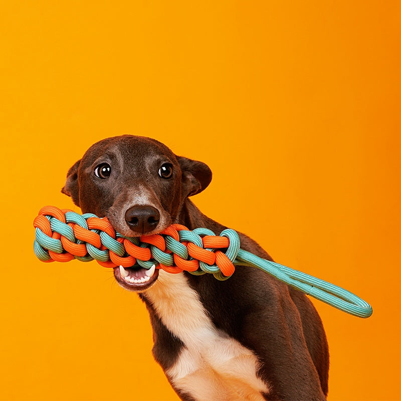 HKM-0000061 Dog Knot Toy for Small and Medium Breeds - Cotton Thread Ice Cream Ball Design