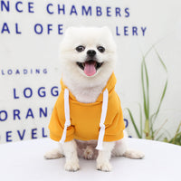 HKM-0000317 Cozy Zipper Pocket Sweater for Dogs & Cats - Warm Polyester Knit in Various Sizes