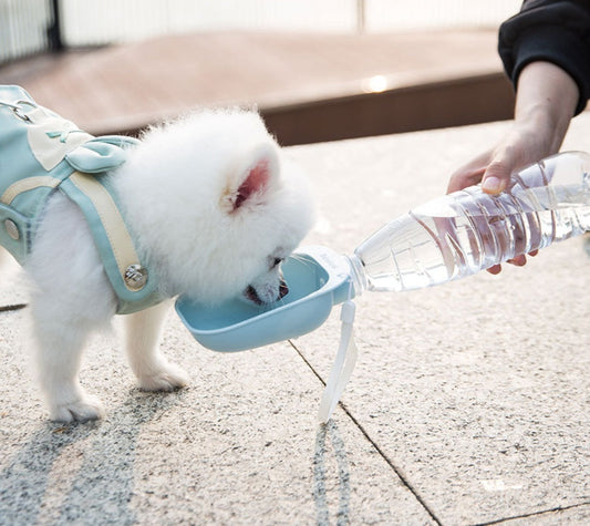 HKM-0001085 Portable Pet Water Bottle with Large Bowl Design and Eco-Friendly Lanyard