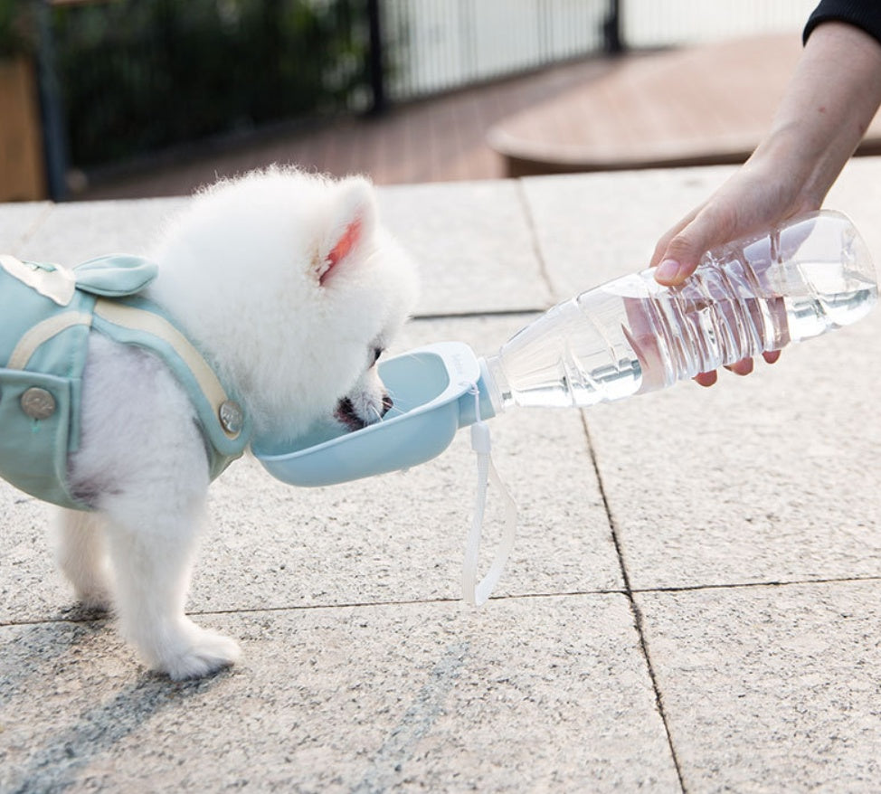 HKM-0001085 Portable Pet Water Bottle with Large Bowl Design and Eco-Friendly Lanyard