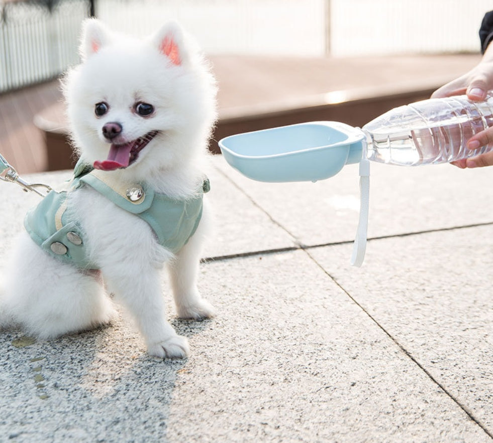 HKM-0001085 Portable Pet Water Bottle with Large Bowl Design and Eco-Friendly Lanyard
