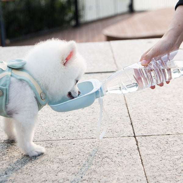 HKM-0001085 Portable Pet Water Bottle with Large Bowl Design and Eco-Friendly Lanyard