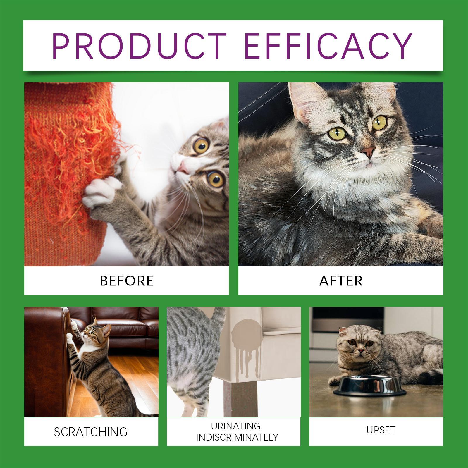 HKM-0002877 Cat Emotional Care Set for Soothing Estrus, Irritability, and Mood Management