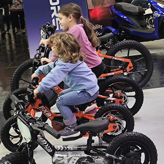 HKM-001363 12" Kids Electric Balance Bike 250W 36V with Disc Brake and Aluminum Frame