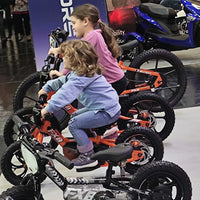 HKM-001363 12" Kids Electric Balance Bike 250W 36V with Disc Brake and Aluminum Frame