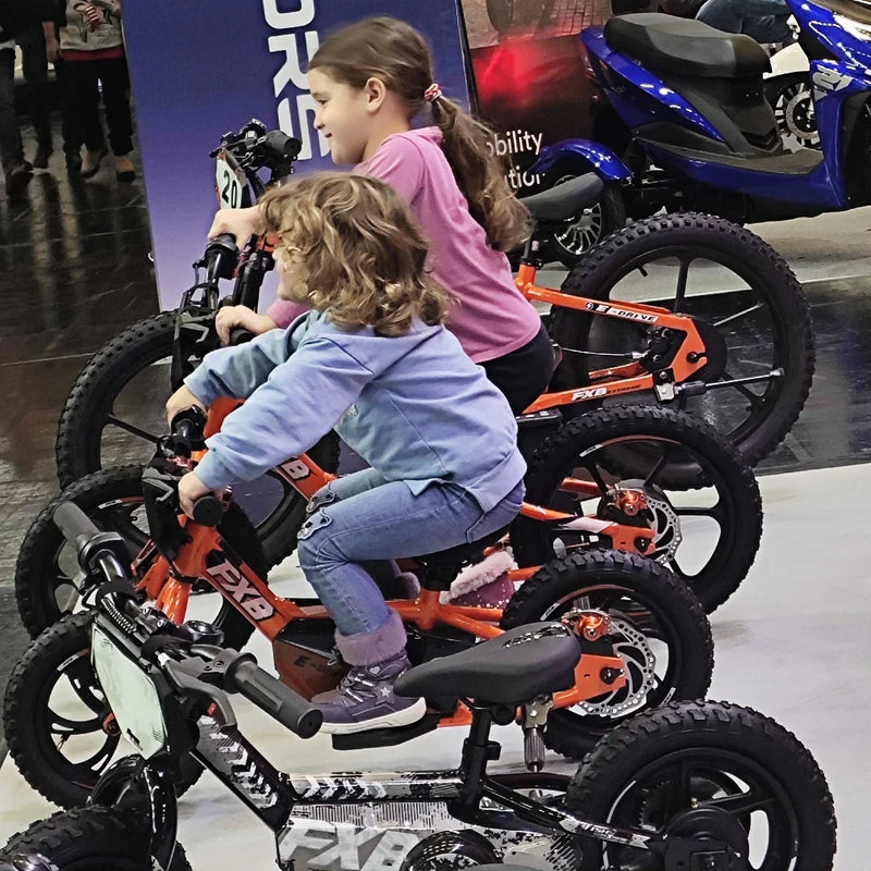 HKM-001363 12" Kids Electric Balance Bike 250W 36V with Disc Brake and Aluminum Frame