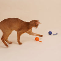 HKM-0014013 Interactive Cat Teaser Stick with Bite-Resistant Catnip Ball for Playful Kittens